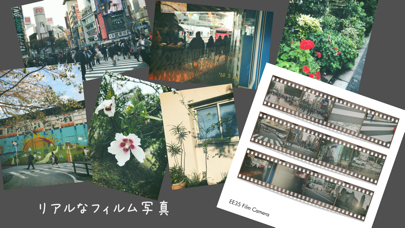 EE35 フィルムカメラの公式スクリーンショット3