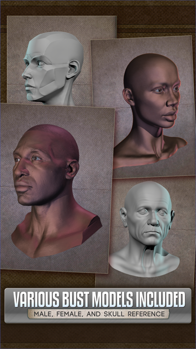 Handy Art Reference Tool 公式スクリーンショット 2